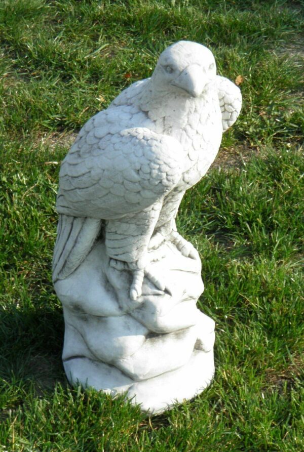 Betonfigur Adler für den Garten, Blick rechts, 58 cm hoch 2