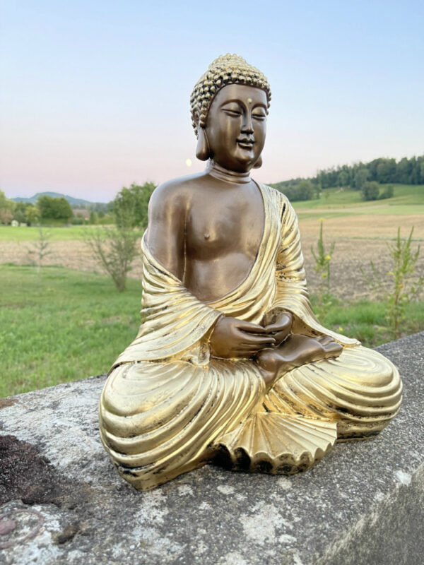 Buddha Statue meditierend, 40 cm hoch 3