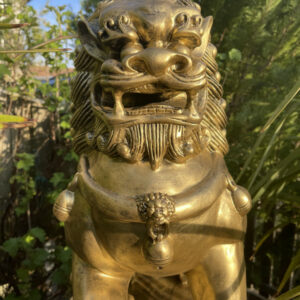 Dekofigur chinesische Wächterlöwin, links, 83 cm hoch 7