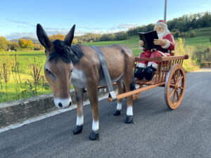 Esel mit Samichlaus auf Schlitten oder Wagen