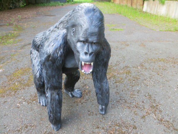 Lebensgrosse Gorilla Dekofigur aus GFK, 130 cm hoch 2