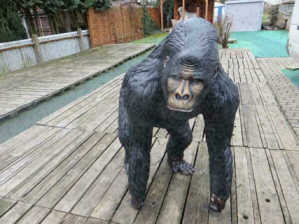 Gorillafigur lebensgross, 130 cm hoch 7