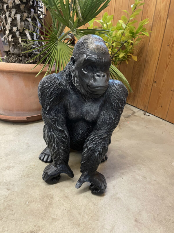 Junger Gorilla, hockend, 58 cm hoch 9