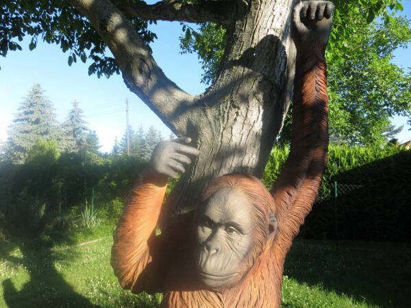 Deko Affe lebensgrosser Orang Utan, 2,4 Meter hoch 10