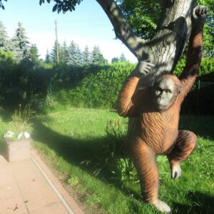 Deko Affe lebensgrosser Orang Utan, 2,4 Meter hoch 2