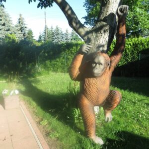 Lebensgrosse Orang Utan Affenfigur, 240 cm hoch 2