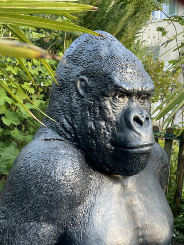 Gorillafigur lebensgross sitzend, 115 cm hoch, aus GFK 11