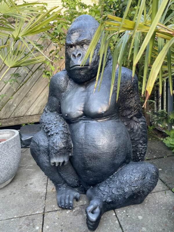 Gorillafigur lebensgross sitzend, 115 cm hoch, aus GFK 9