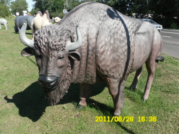 Lebensgrosse Deko Bisonfigur, 240 cm lang 4