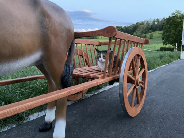 Deko Esel lebensgross mit Wagen 1-Achser, 260 cm lang 5