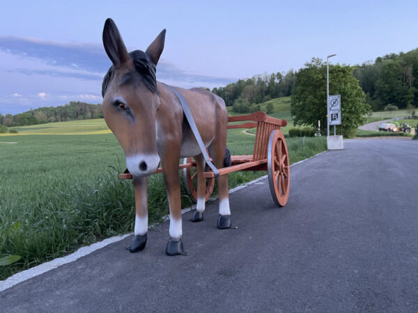 Deko Esel lebensgross mit Wagen 1-Achser, 260 cm lang 3