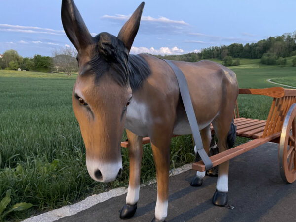 Deko Esel lebensgross mit Wagen 1-Achser, 260 cm lang 4