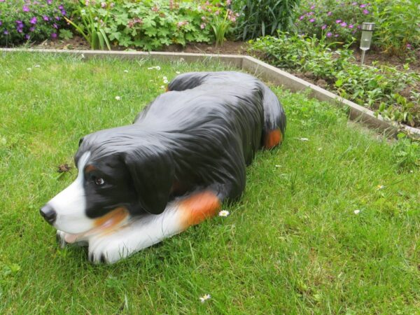 Berner Sennenhund für Gartendeko, liegend, 98 cm lang 3