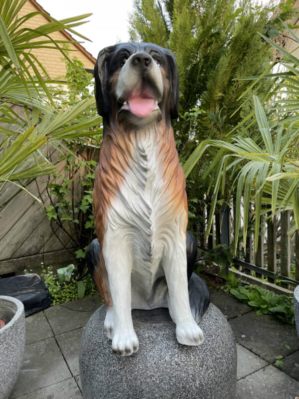 Berner Sennenhund Dekofigur, sitzend, 80 cm hoch 4