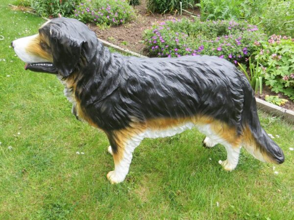 Berner Sennenhund Figur für den Garten, stehend, 120 cm lang 3