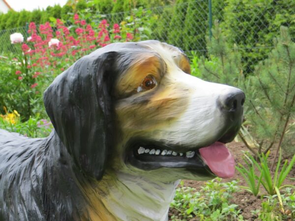 Berner Sennenhund Figur für den Garten, stehend, 120 cm lang 4