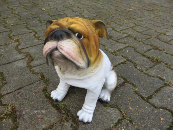 Sitzende Deko Bulldogge für draussen und drinnen, 30 cm hoch