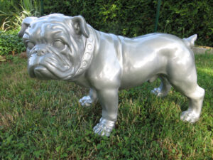 Englische Bulldogge mit individueller Farbe nach Wunsch, 65 cm