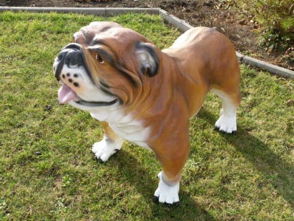 Englische Bulldogge Dekofigur für den Garten, 90 cm lang 2