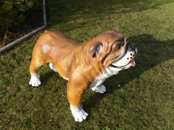 Englische Bulldogge Dekofigur für den Garten, 90 cm lang 3