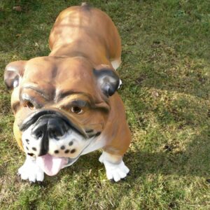 Englische Bulldogge Dekofigur für den Garten, 90 cm lang 3