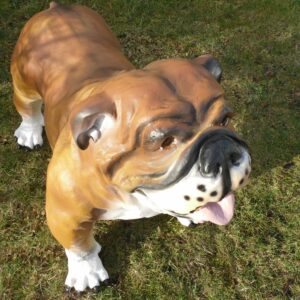 Englische Bulldogge als Gartendekofigur, 90 cm lang 1