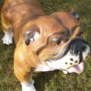 Englische Bulldogge als Gartendekofigur, 90 cm lang 4
