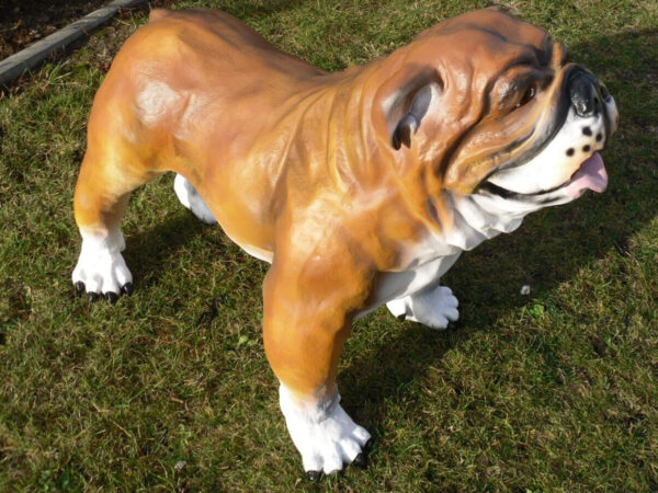 Englische Bulldogge Dekofigur für den Garten, 90 cm lang 6