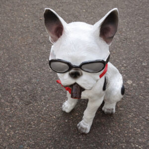 Französische Bulldogge mit Sonnenbrille, sitzend, 30 cm hoch