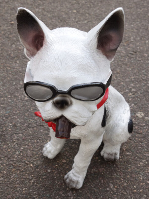 Französische Bulldogge mit Sonnenbrille, sitzend, 30 cm hoch 2