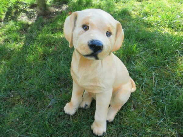 Sitzender Labrador-Welpe als Deko im Garten, 35 cm hoch 2