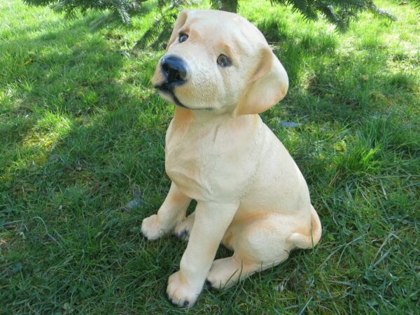 Sitzender Labrador-Welpe als Deko im Garten, 35 cm hoch 3