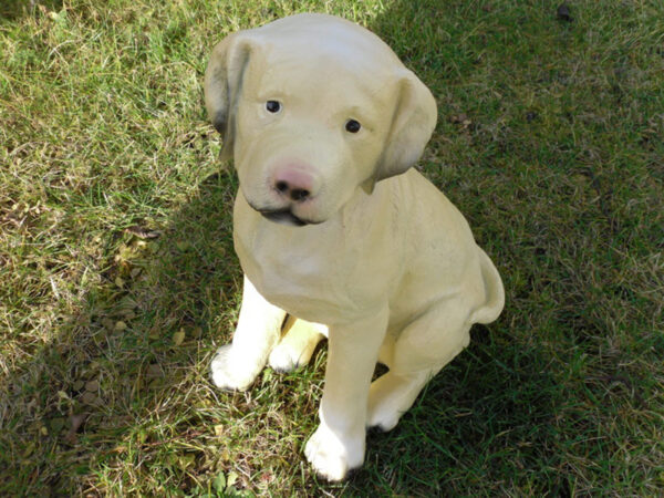 Sitzender Labrador-Welpe als Deko im Garten, 35 cm hoch 4