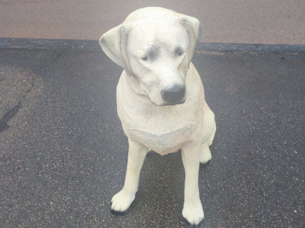 Sitzender Labrador Retriever für die Gartendeko, 65 cm hoch 8