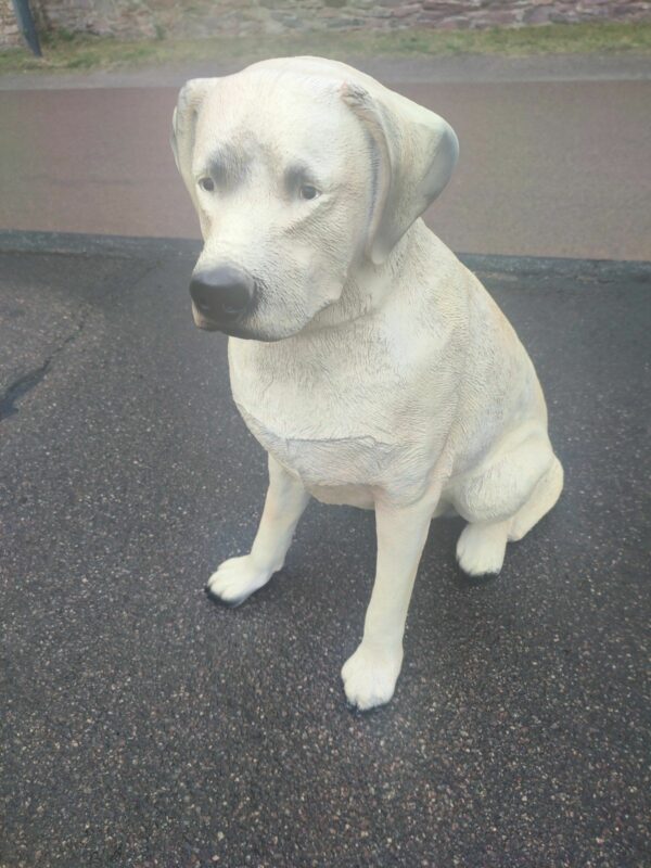 Sitzender Labrador Retriever für die Gartendeko, 65 cm hoch 6