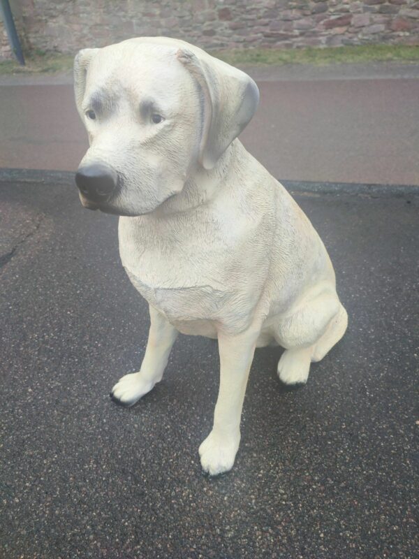 Sitzender Labrador Retriever für die Gartendeko, 65 cm hoch 4
