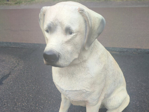 Sitzender Labrador Retriever für die Gartendeko, 65 cm hoch