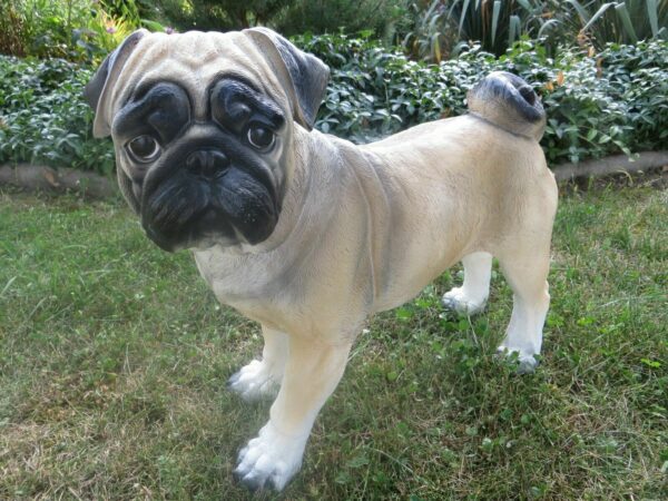 Mops Dekohund für den Garten, stehend, 50 cm lang 5