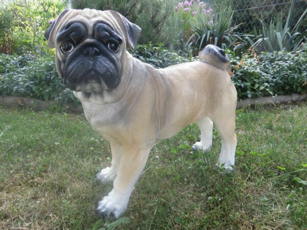 Mops Dekohund für den Garten, stehend, 50 cm lang 6