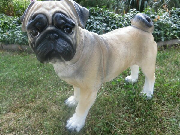 Mops Dekohund für den Garten, stehend, 50 cm lang 7