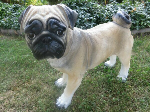 Mops Dekohund für den Garten, stehend, 50 cm lang 8