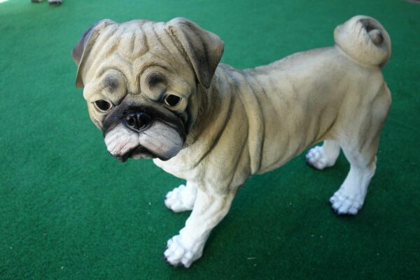 Mops Dekohund für den Garten, stehend, 50 cm lang 3