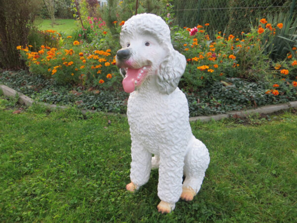 Pudel Dekohund für drinnen und draussen, 63 cm hoch 4