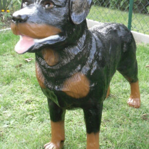 Rottweiler für Gartendeko, lebensgross, stehend , 70 cm hoch