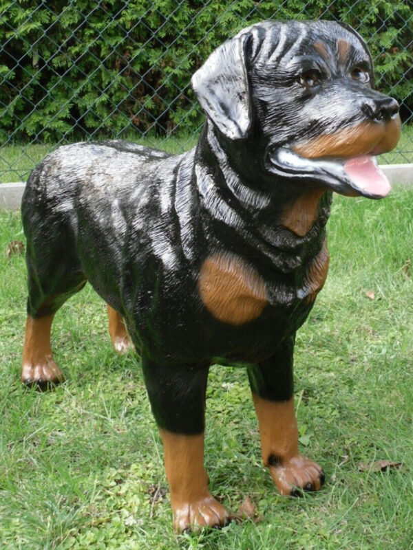 Lebensgrosser, stehender Rottweiler als Gartendeko, 70 cm hoch 3