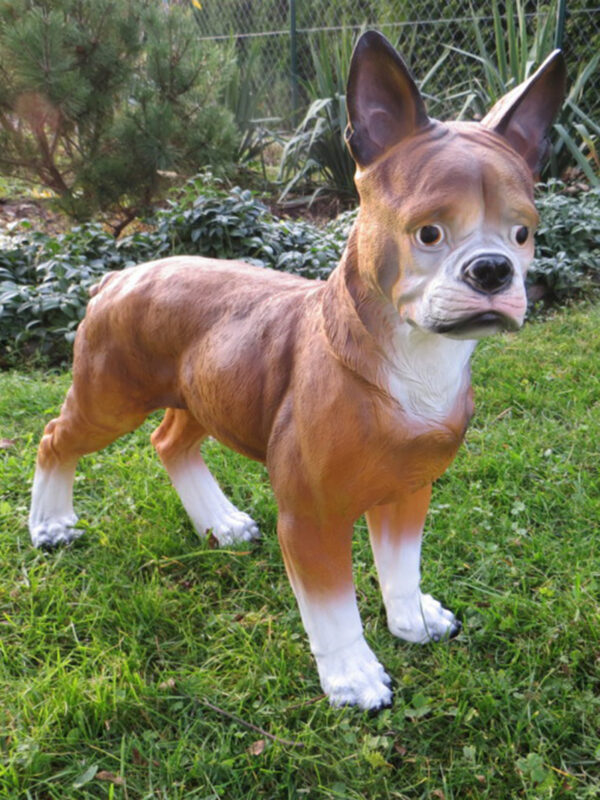 Boston Terrier Dekofigur, Braun-Weiss, stehend, 50 cm hoch