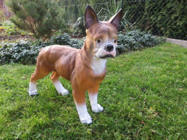 Boston Terrier Dekofigur, Braun-Weiss, stehend, 50 cm hoch 2