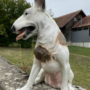 Bullterrier Deko für draussen und drinnen, sitzend, 50 cm hoch 3