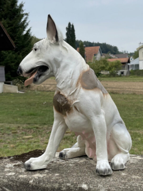 Bullterrier Deko für draussen und drinnen, sitzend, 50 cm hoch 5