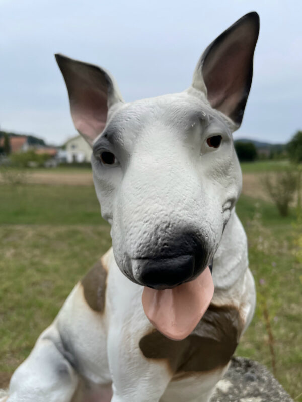 Bullterrier Deko für draussen und drinnen, sitzend, 50 cm hoch 6